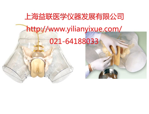 ͸��Ů�Ԍ���ģ��