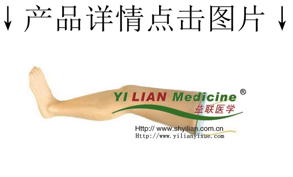 �߼�(j��)�o�}ݔҺ��ģ��