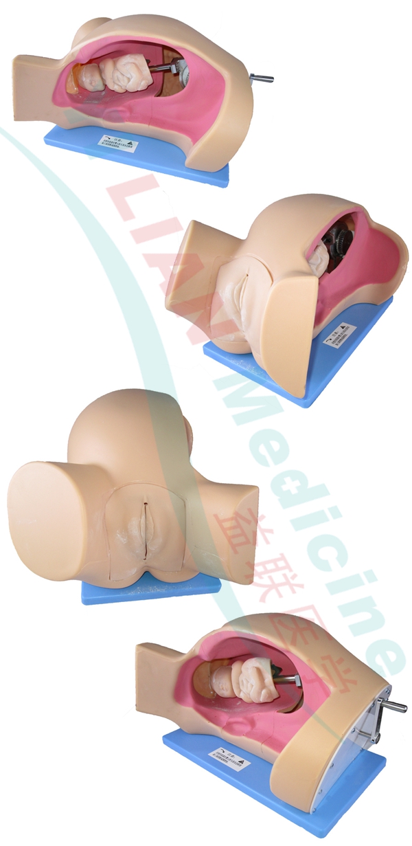 ����C(j��)�D(zhu��n)ʾ��ģ��