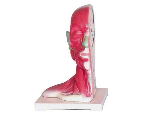 �^�����i���ֽ�