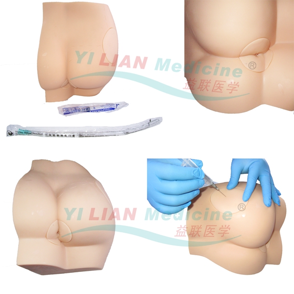 �β�ע�䌍��(x��)ģ��